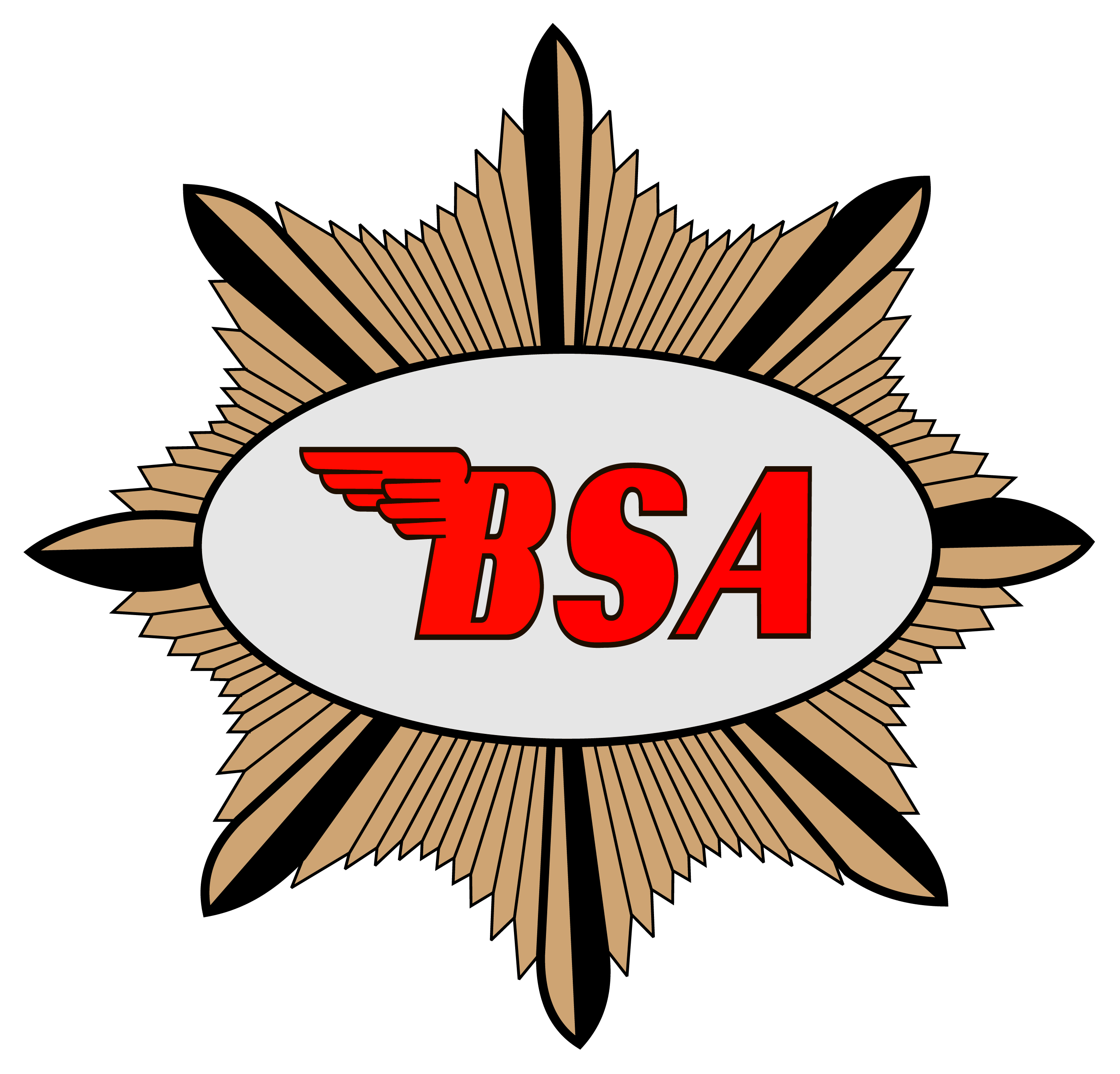 BSA